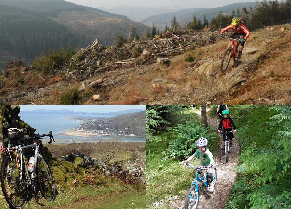 DYFI_LocalArea_Ride1